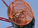 Alex_Carnival (1)